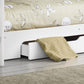 ORION BUNK BED - WHITE