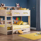 ORION BUNK BED - SONOMA OAK